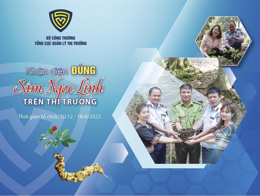 Tuần lễ “Nhận diện đúng sâm Ngọc Linh trên thị trường” sắp diễn ra 